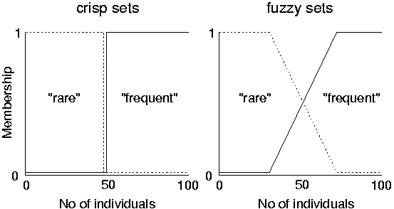 fuzzy sets